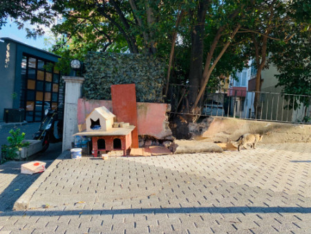 194 Check in Istanbul base